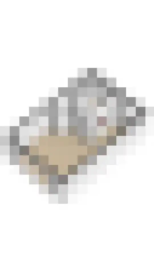 Grietpad 4 Almere thumbnail 31