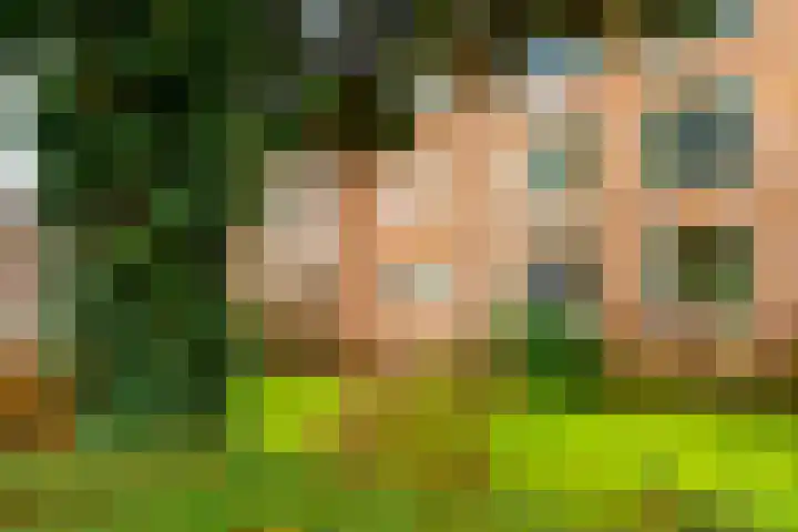 Griffensteijnselaan 44 en Zeist