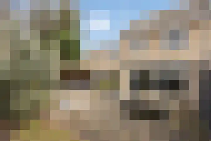 Griffioen 5 Leiderdorp thumbnail 21