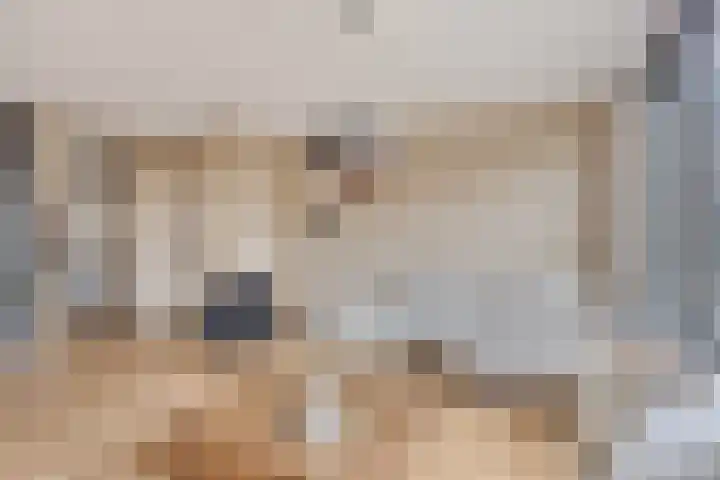 Griffioen 5 Leiderdorp thumbnail 6