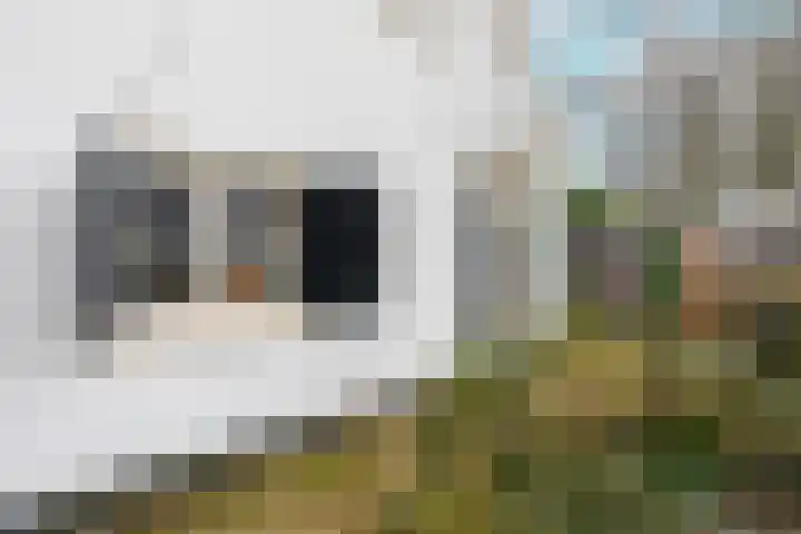 Logo Griffith Estate