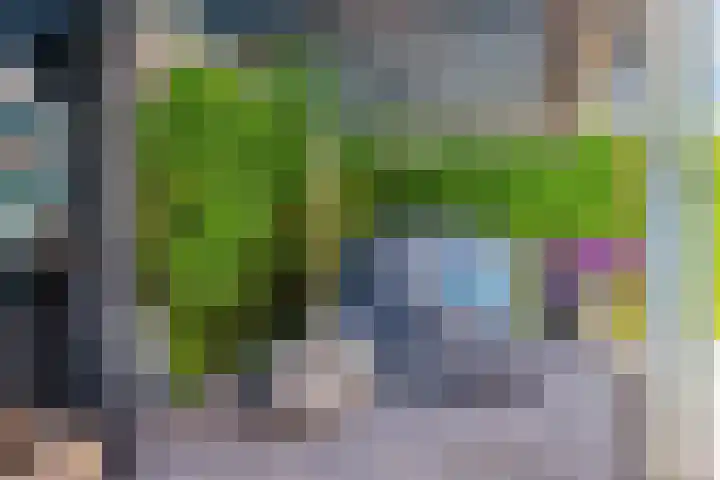 Griftdijk 10 Maarsbergen thumbnail 17