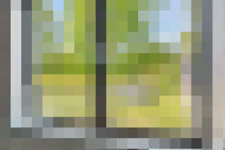 Griftdijk 10 Maarsbergen thumbnail 21