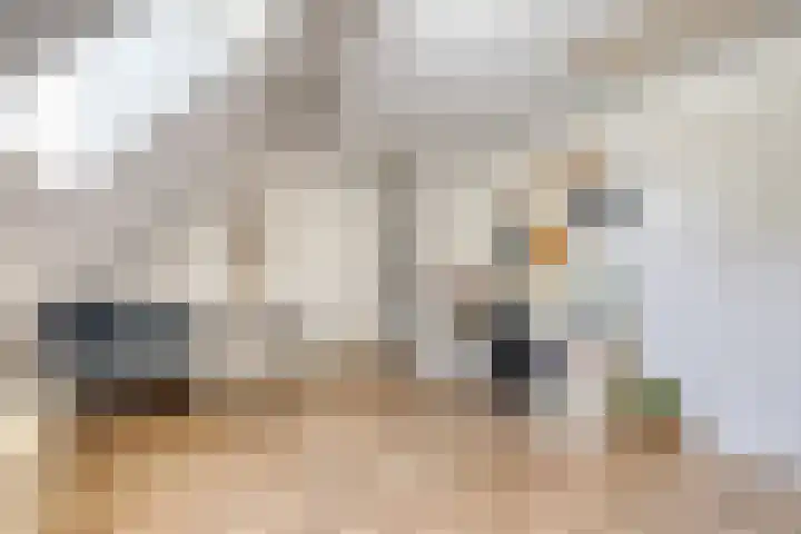 Griftdijk 10 Maarsbergen thumbnail 37