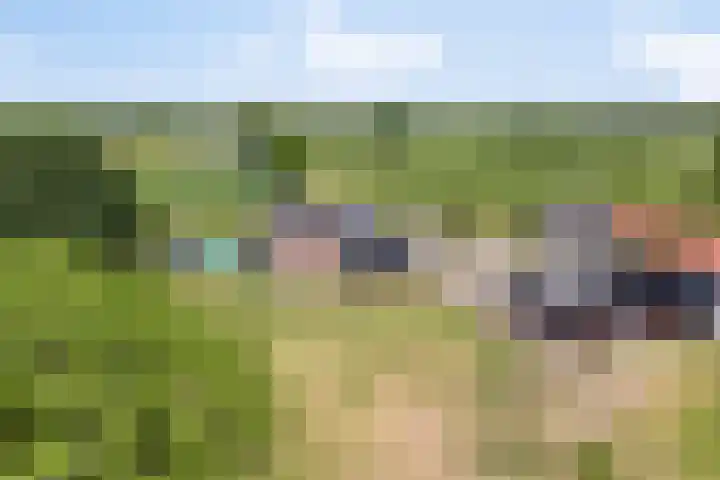 Griftdijk 10 Maarsbergen thumbnail 52