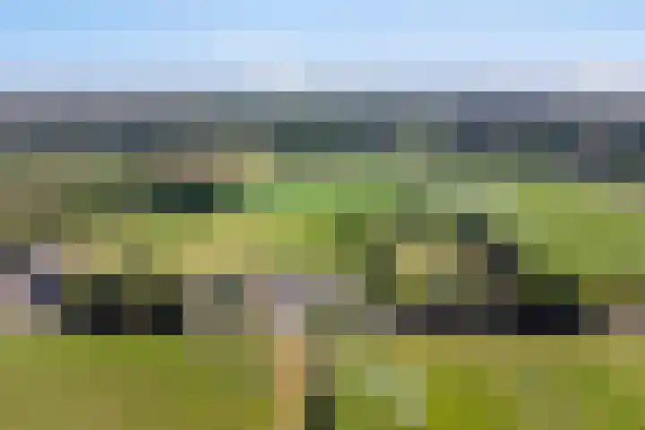 Griftdijk 10 Maarsbergen thumbnail 56
