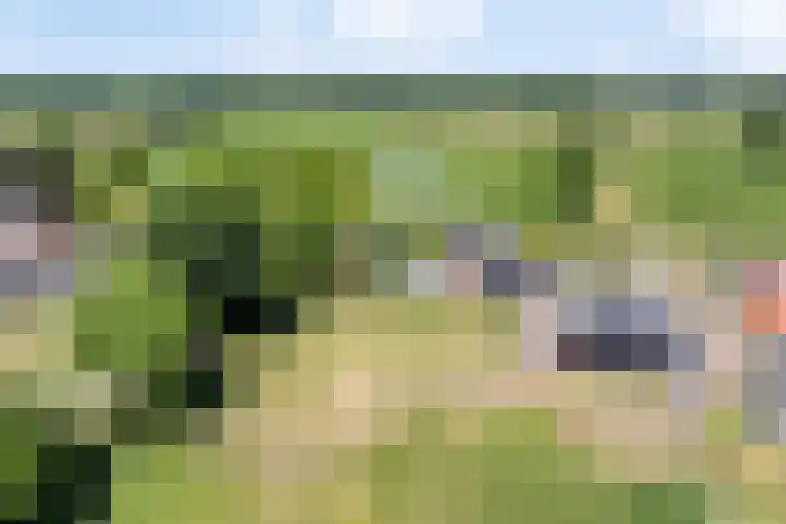 Griftdijk 10 Maarsbergen thumbnail 58