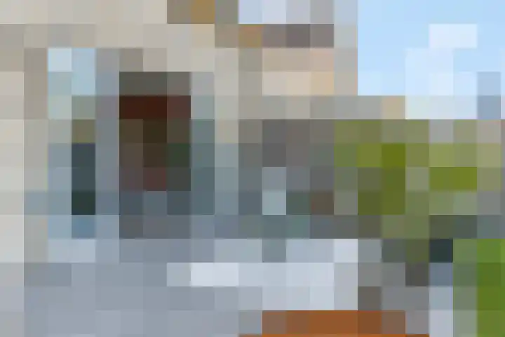 Griftdijk Noord 8 Lent thumbnail 50