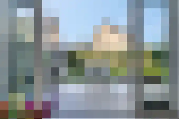 Griftdijk Noord 8 Lent thumbnail 51