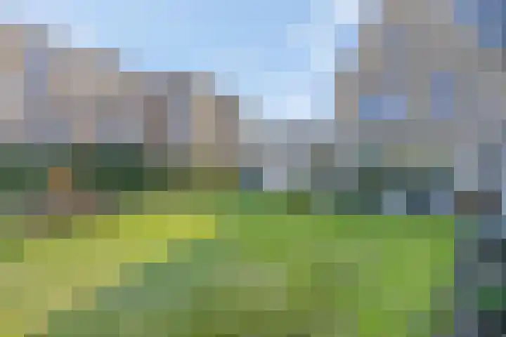 Griftdijk Noord 8 Lent thumbnail 57