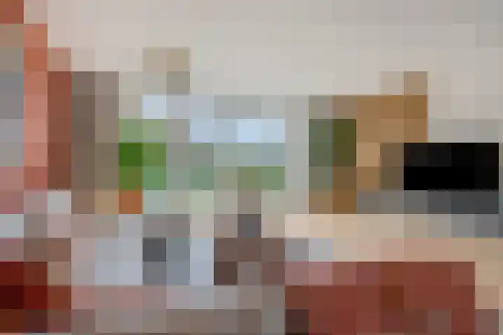 Griftdijk Noord 8 Lent thumbnail 8