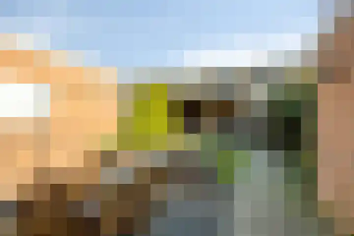 Griftenstein 17 Breukelen thumbnail 21