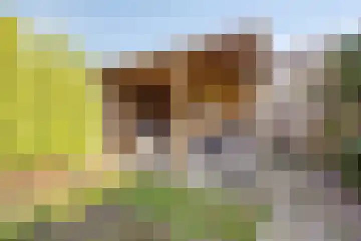Griftenstein 17 Breukelen thumbnail 24