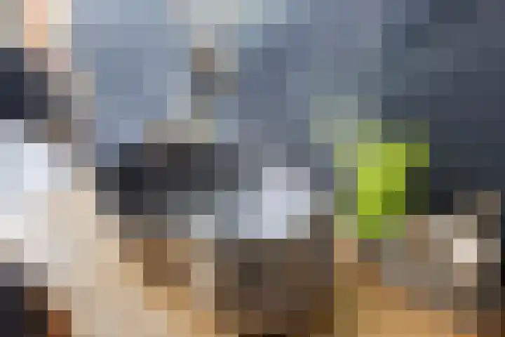 Griftstraat 107 Utrecht thumbnail 37