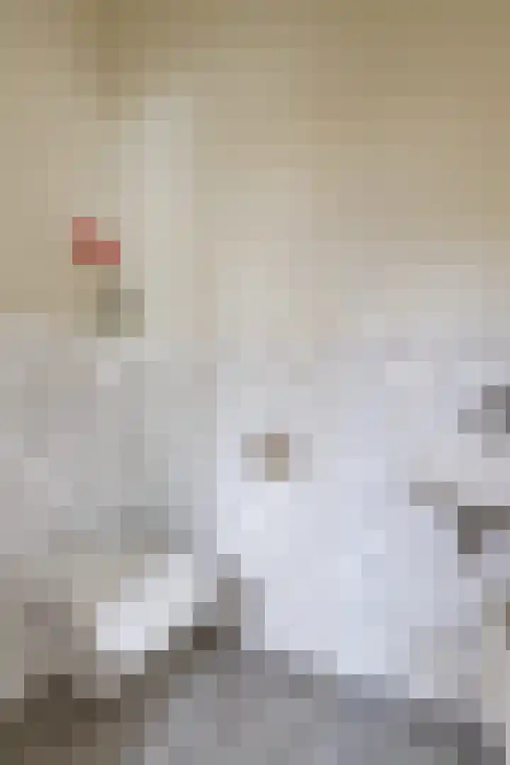 Griftstraat 96 Utrecht thumbnail 34