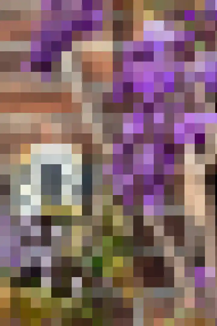 Griftstraat 96 Utrecht thumbnail 37