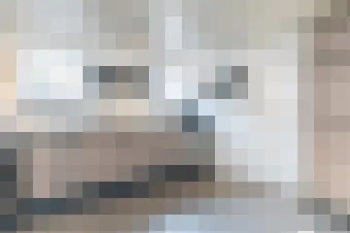 Grijzegrubben 86 Nuth thumbnail 12