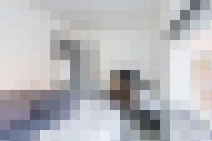 Grijzegrubben 86 Nuth thumbnail 26