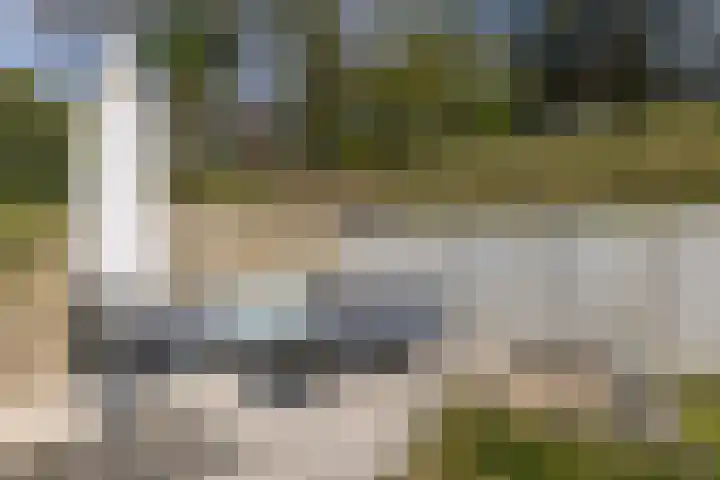Grijzegrubben 86 Nuth thumbnail 37