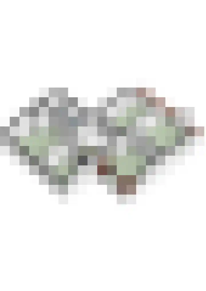 Grijzegrubben 86 Nuth thumbnail 51