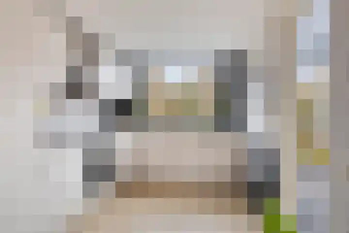 Grimberghoek 31 Enschede thumbnail 18