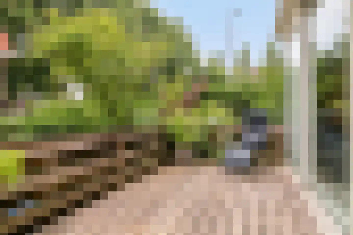 Grindweg 2 Rotterdam thumbnail 13