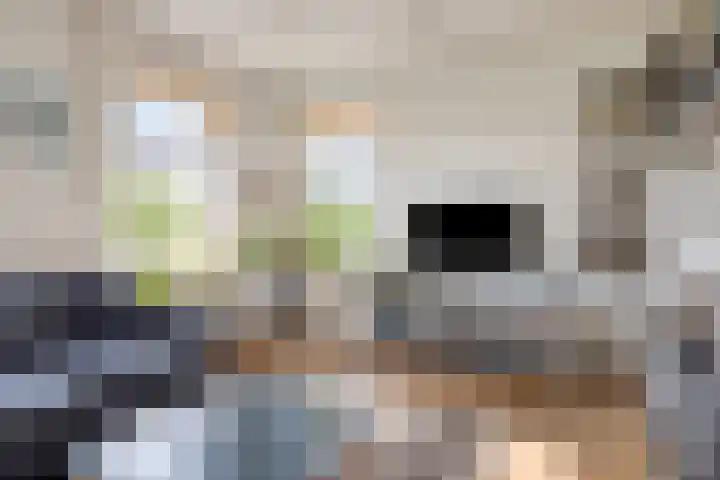 Grindweg 226 Scherpenzeel thumbnail 13