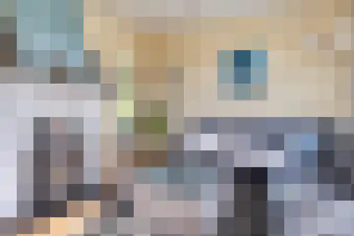 Grindweg 226 Scherpenzeel thumbnail 14