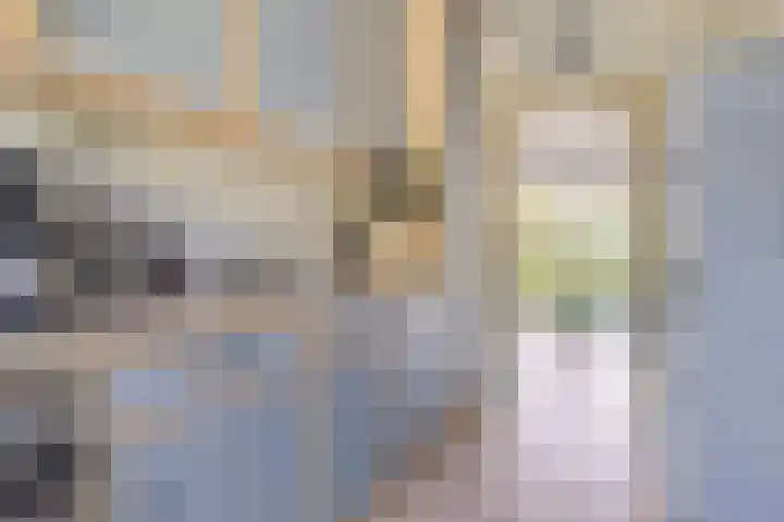 Grindweg 226 Scherpenzeel thumbnail 15