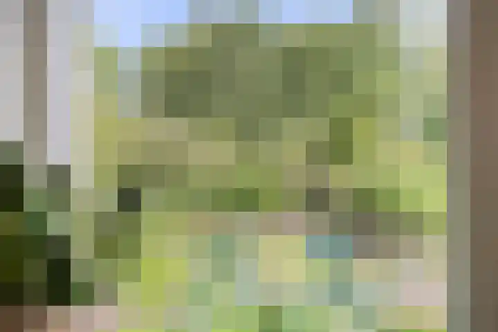 Grindweg 226 Scherpenzeel thumbnail 20