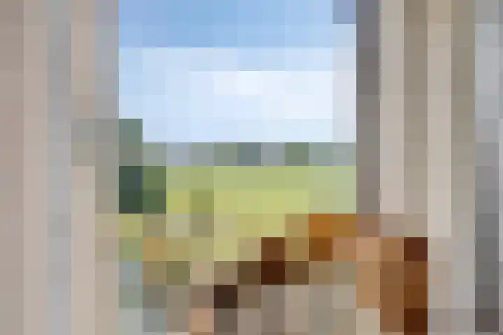 Grindweg 226 Scherpenzeel thumbnail 23