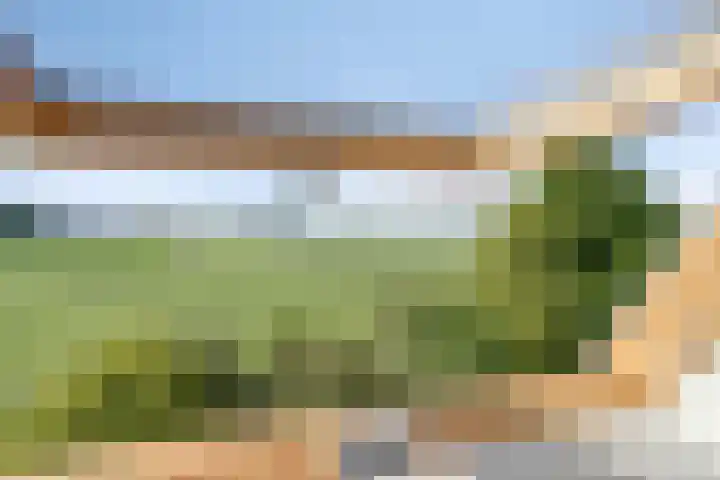 Grindweg 226 Scherpenzeel thumbnail 26