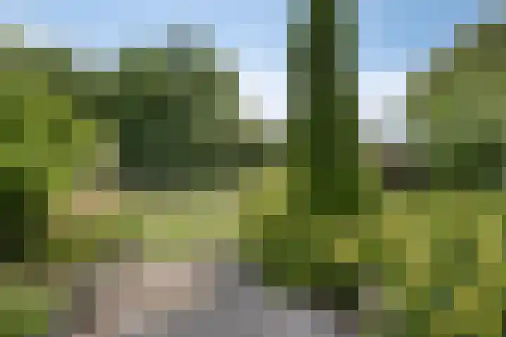Grindweg 226 Scherpenzeel thumbnail 31