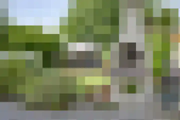 Grindweg 226 Scherpenzeel thumbnail 32