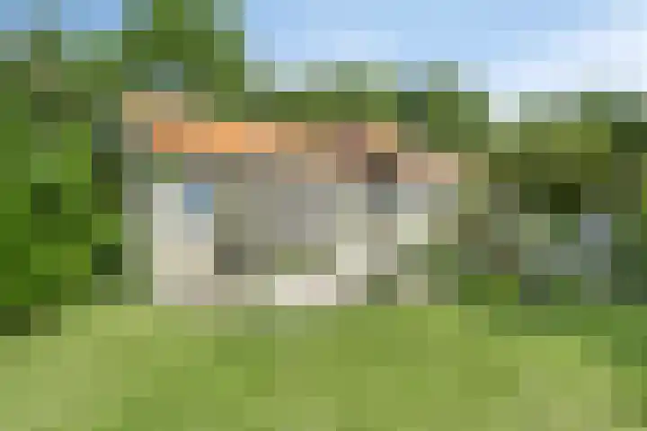 Grindweg 226 Scherpenzeel thumbnail 33