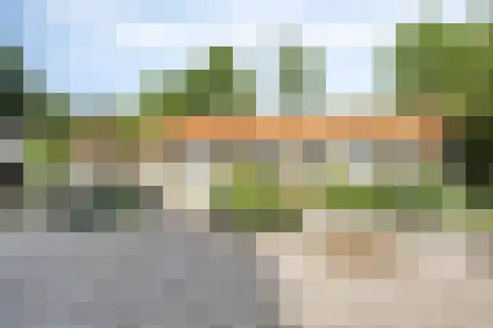 Grindweg 226 Scherpenzeel thumbnail 34