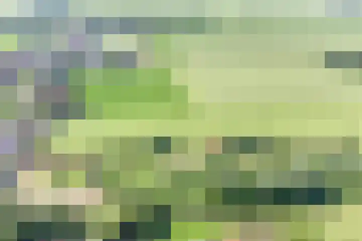 Grindweg 226 Scherpenzeel thumbnail 40