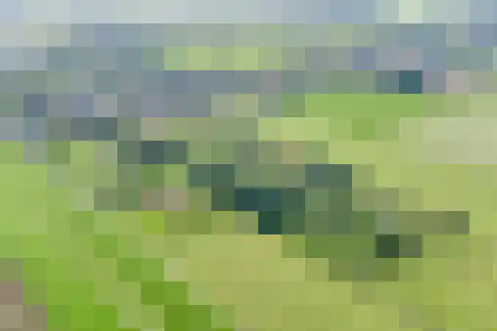 Grindweg 226 Scherpenzeel thumbnail 42