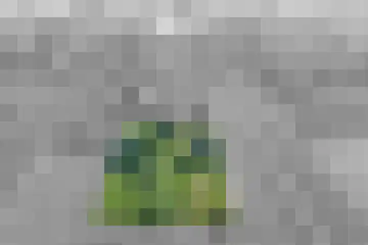 Grindweg 226 Scherpenzeel thumbnail 45