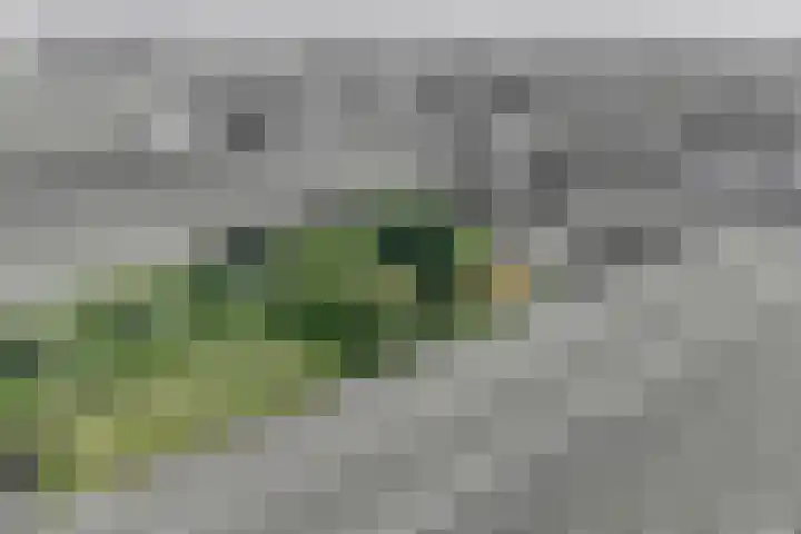 Grindweg 226 Scherpenzeel thumbnail 47