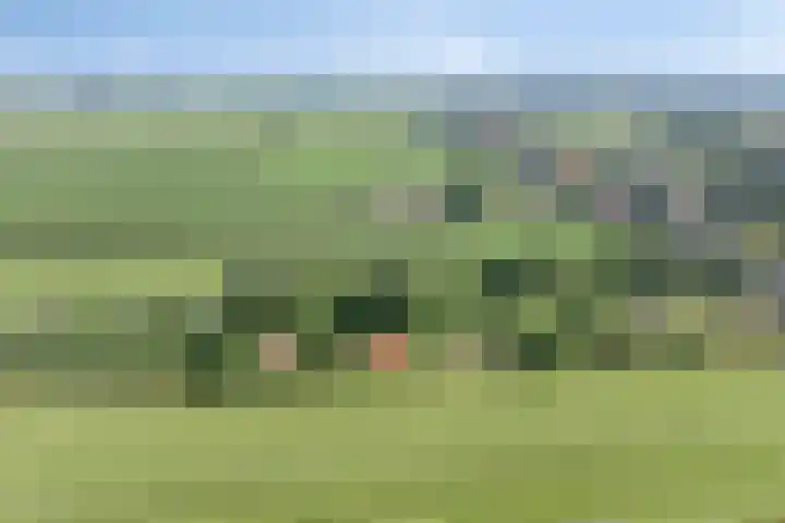 Grindweg 226 Scherpenzeel thumbnail 48