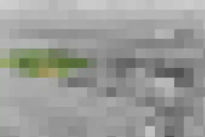 Grindweg 226 Scherpenzeel thumbnail 51