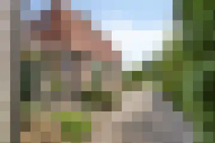 Grindweg 226 Scherpenzeel thumbnail 7