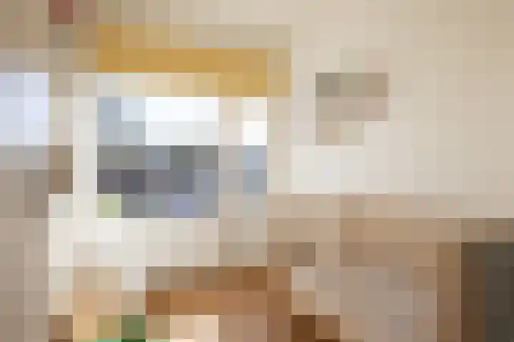 Grindweg 26 Rotterdam thumbnail 22