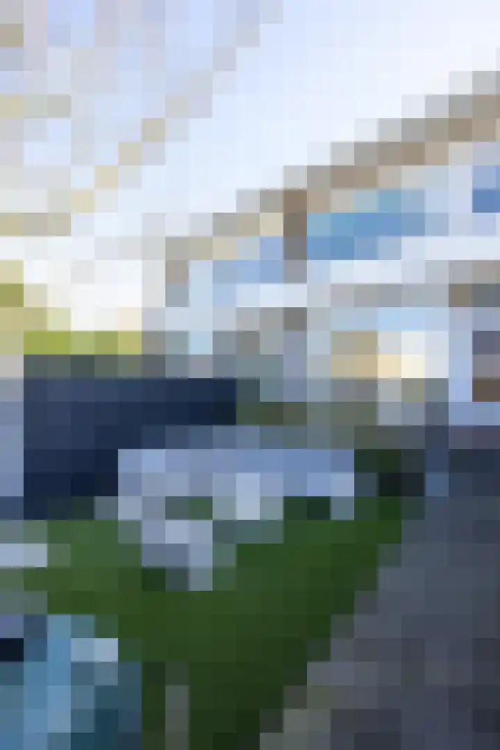 Grindweg 26 Rotterdam thumbnail 37