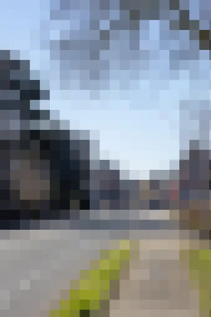 Grindweg 26 Rotterdam thumbnail 40