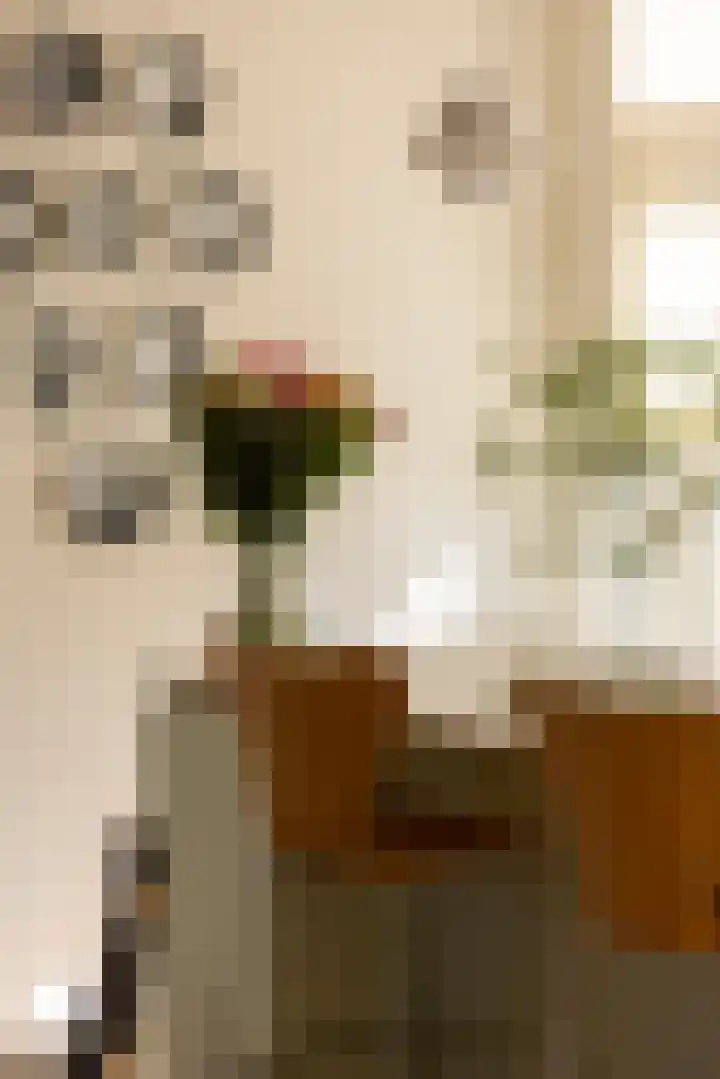 Grindweg 26 Rotterdam thumbnail 6
