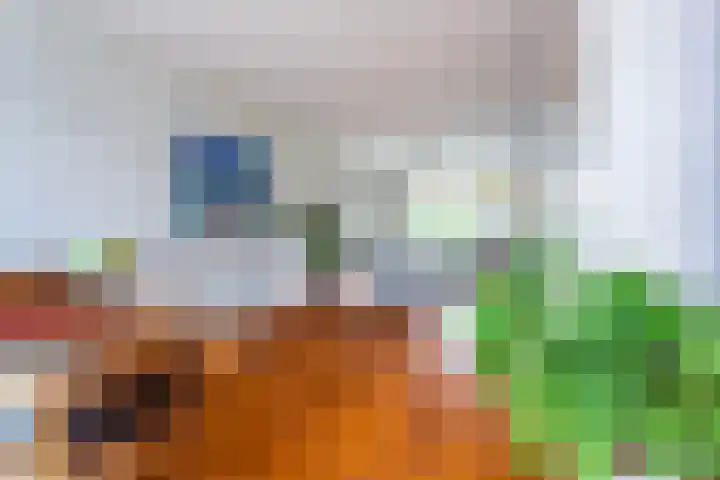 Grindweg 58 Rotterdam thumbnail 15