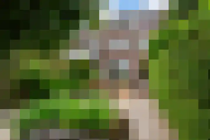 Grindweg 58 Rotterdam thumbnail 46