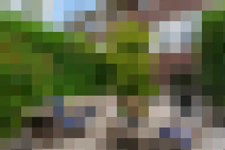 Grindweg 58 Rotterdam thumbnail 5